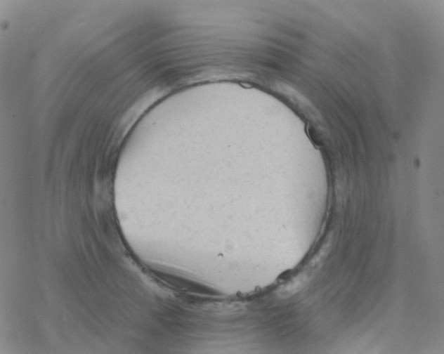 X0000076301185200610271906