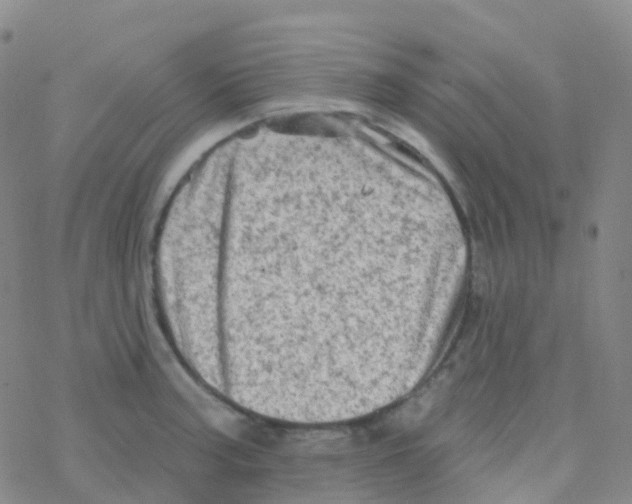 X0000076301187200610271906