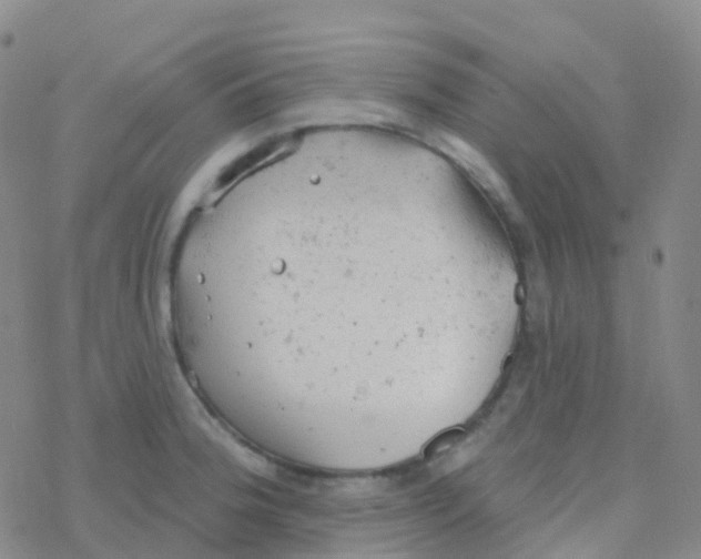 X0000076301188200610271906