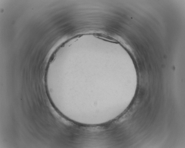 X0000076301189200610271906