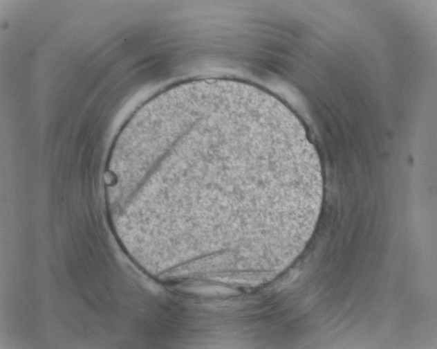 X0000076301191200610271906