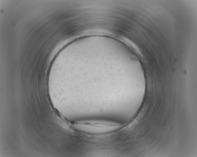 X0000076301192200610271906