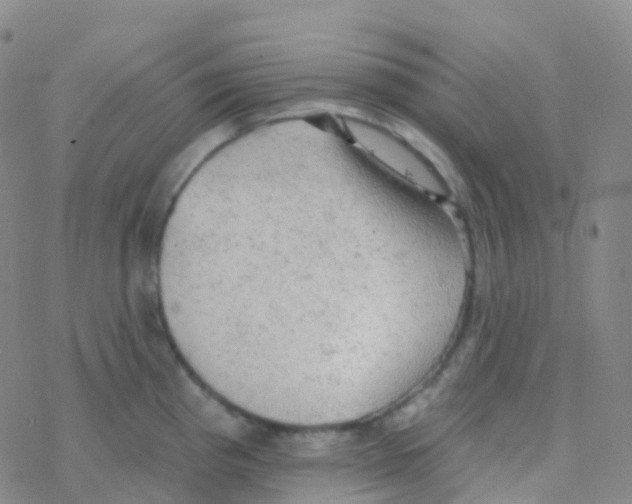 X0000076301193200610271906