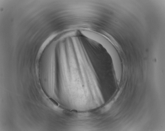 X0000076301196200610271906