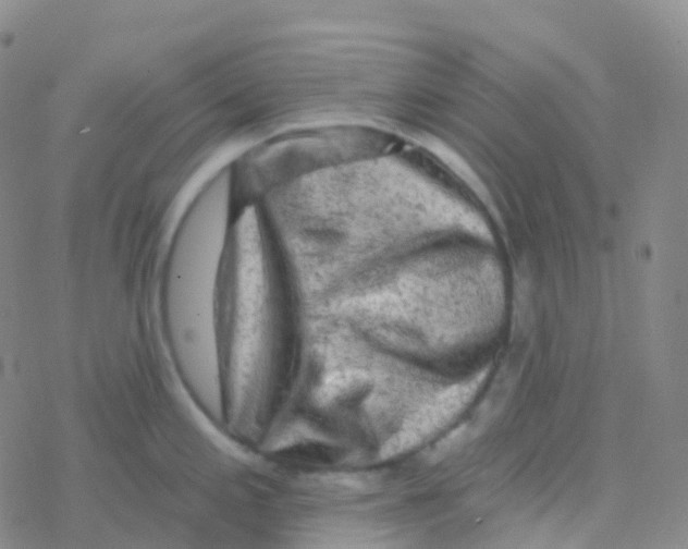 X0000076301197200610271906