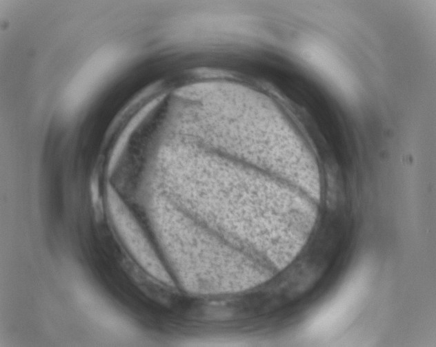 X0000076301198200610271906