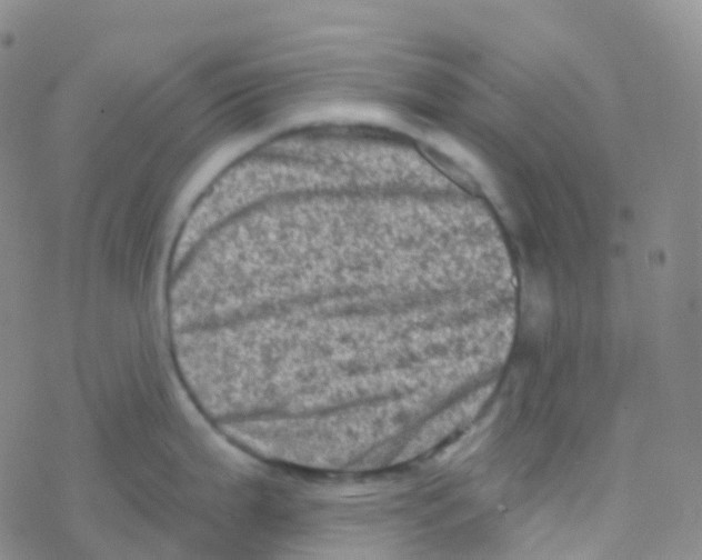 X0000076301199200610271906