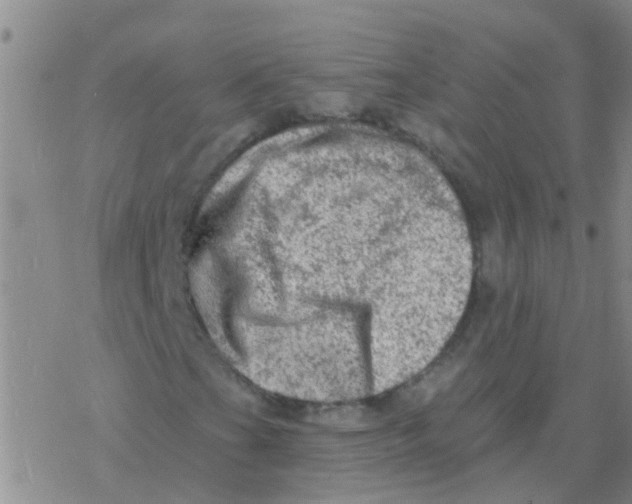 X0000076301201200610271905