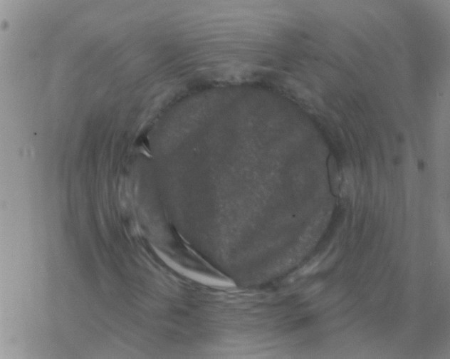 X0000076301202200610271905