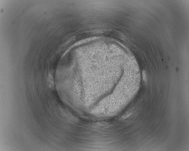 X0000076301203200610271905