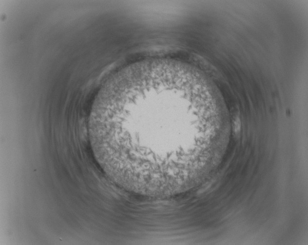 X0000076301204200610271905