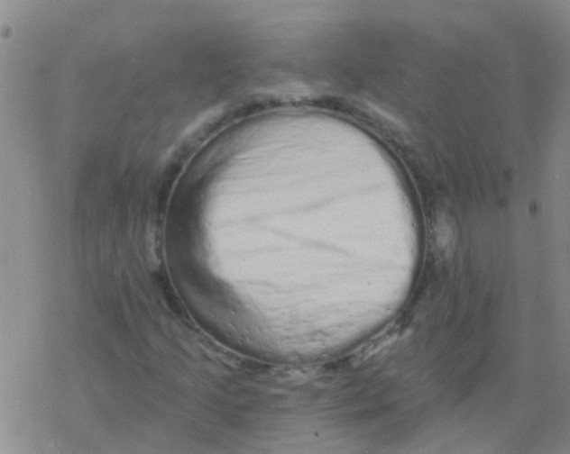 X0000076301205200610271905