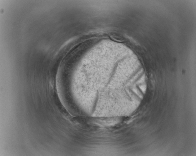 X0000076301206200610271905