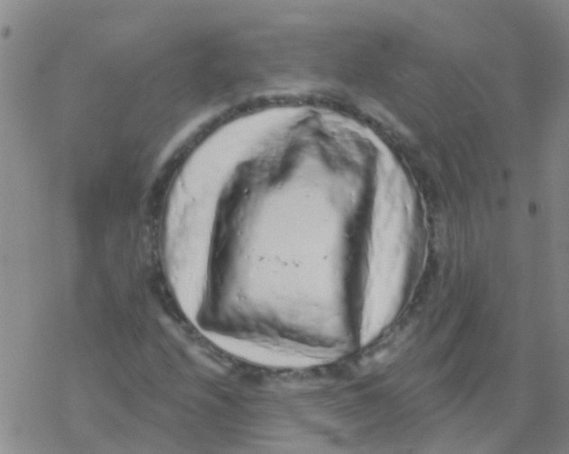 X0000076301208200610271905