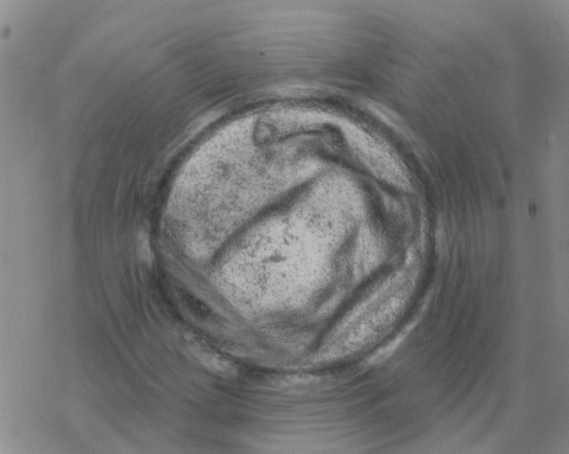 X0000076301209200610271905