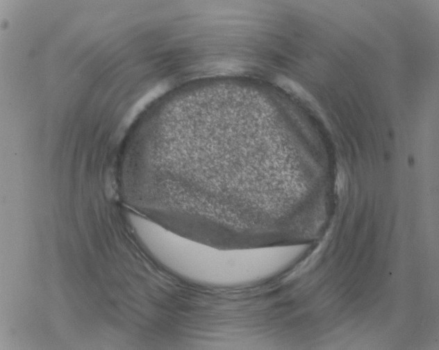 X0000076301210200610271905