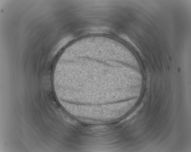 X0000076301211200610271905