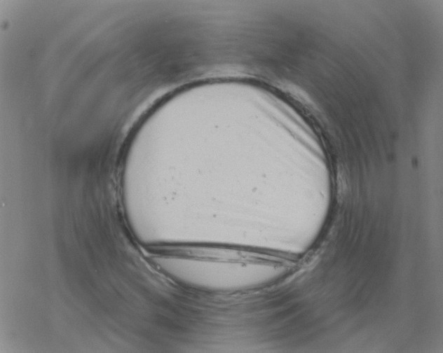 X0000076301212200610271905