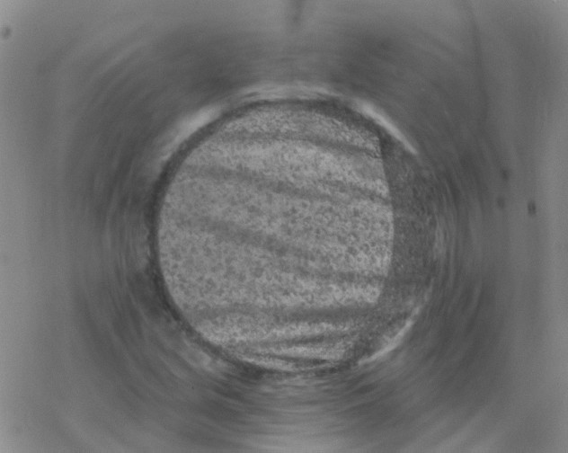 X0000076301213200610271906