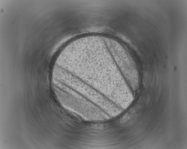 X0000076301214200610271906