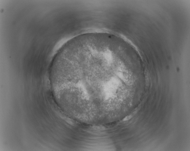 X0000076301215200610271906