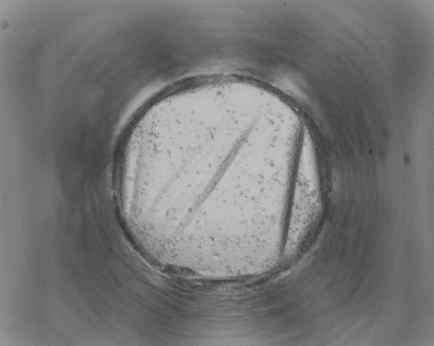 X0000076301216200610271906