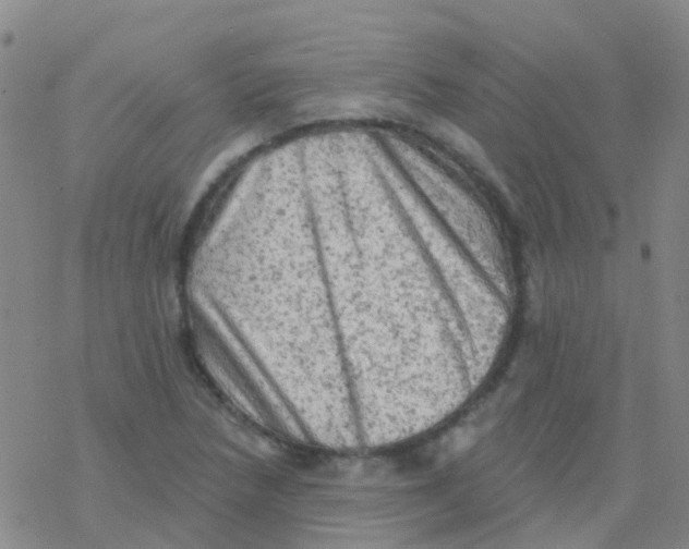 X0000076301218200610271906