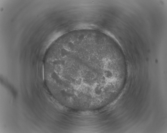 X0000076301219200610271906