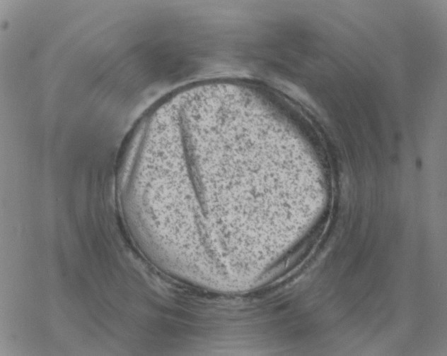 X0000076301220200610271906