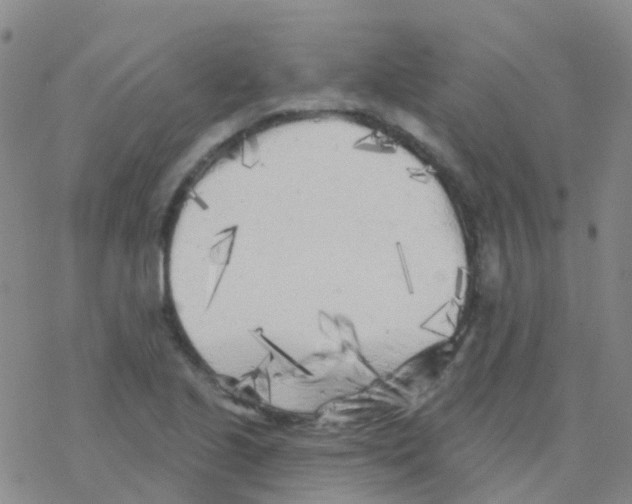 X0000076301221200610271906