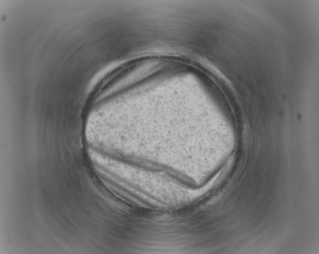 X0000076301222200610271906