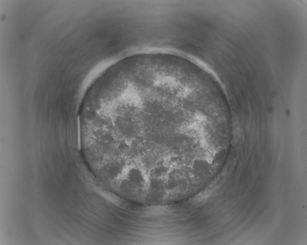 X0000076301223200610271906