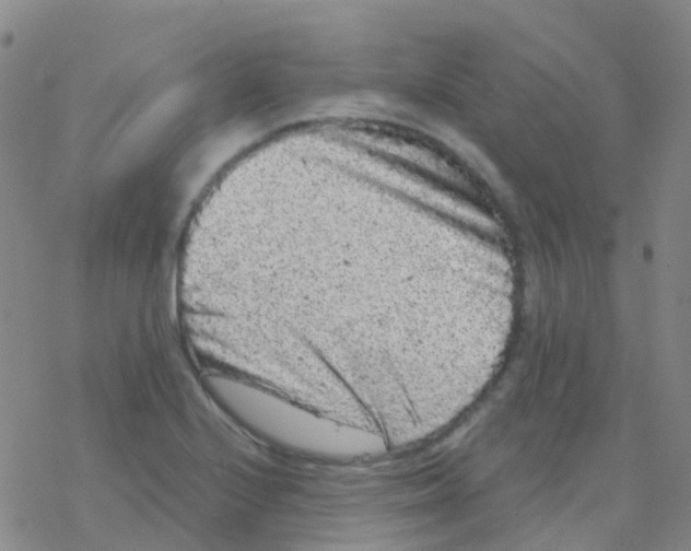 X0000076301224200610271906