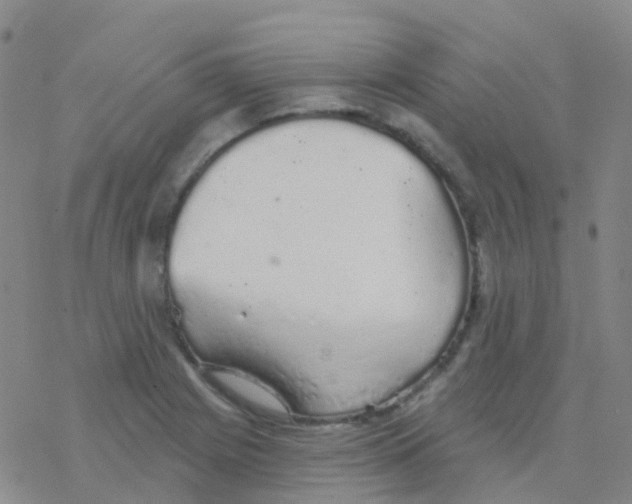 X0000076301225200610271906