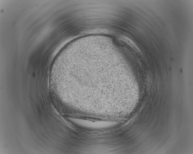 X0000076301228200610271906