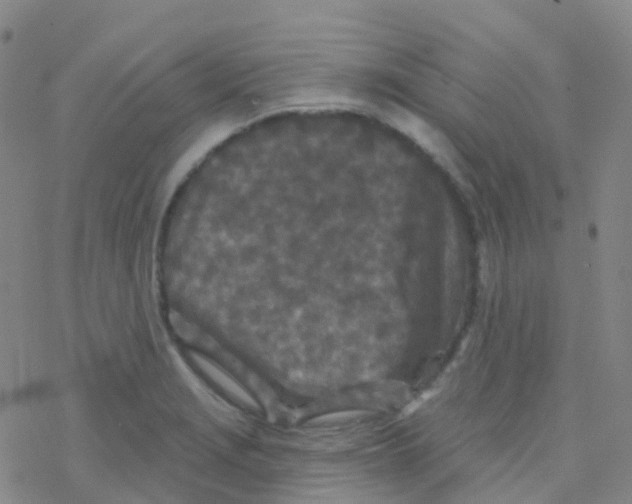 X0000076301229200610271906