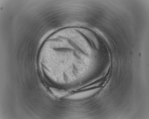 X0000076301230200610271906