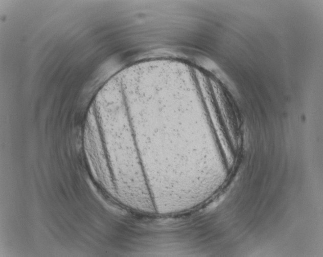 X0000076301233200610271906