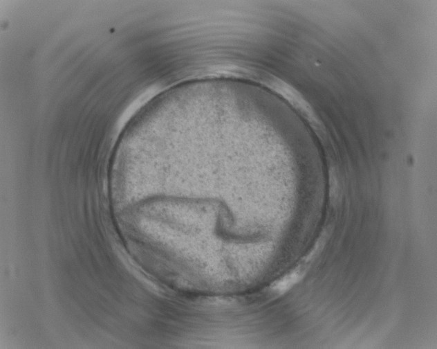 X0000076301234200610271906