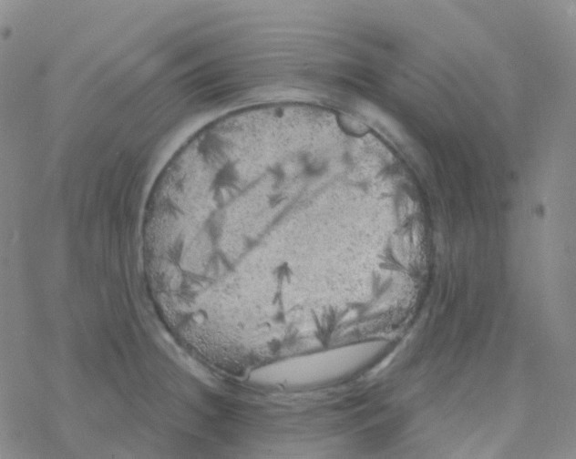 X0000076301236200610271906