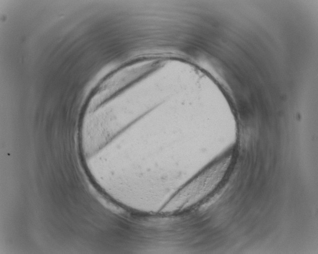 X0000076301237200610271906