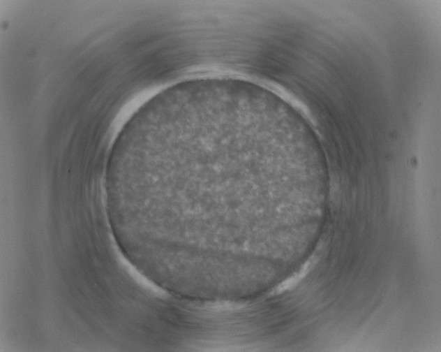 X0000076301239200610271906