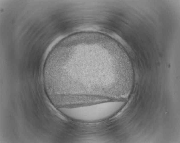 X0000076301240200610271906