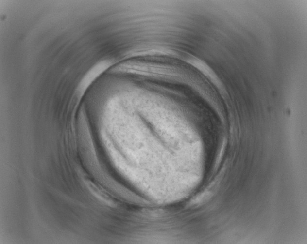 X0000076301242200610271906