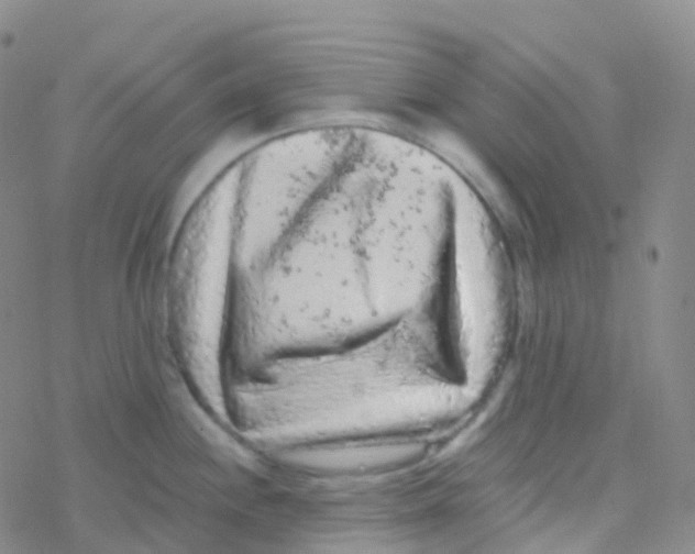 X0000076301244200610271906