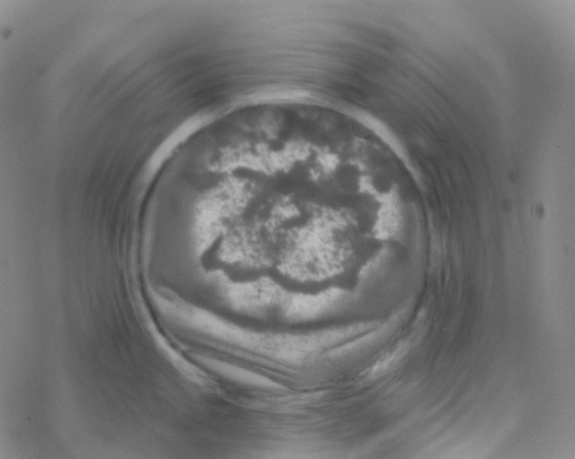 X0000076301245200610271906