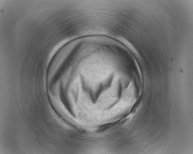 X0000076301246200610271906