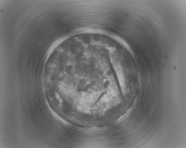 X0000076301247200610271906