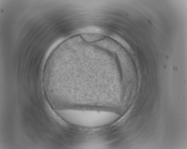 X0000076301248200610271906