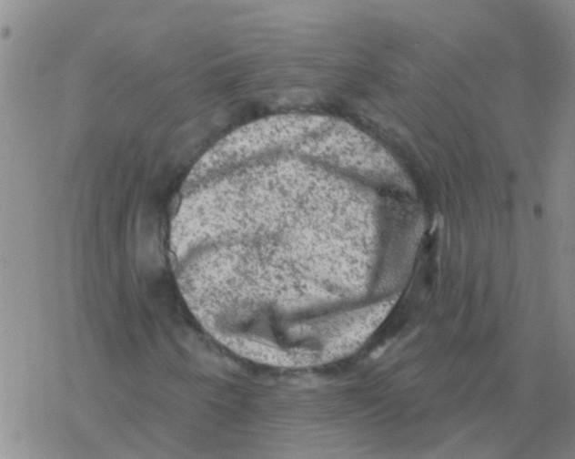 X0000076301250200610271905